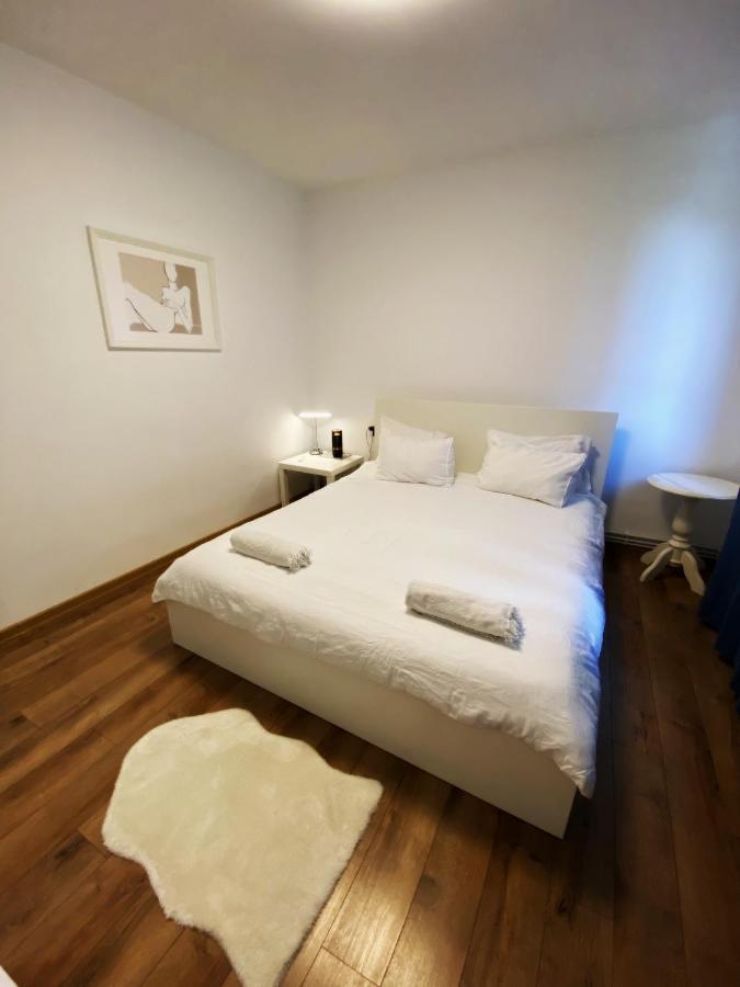 Peles Green Apartment & Piano Cluj-Napoca Eksteriør billede
