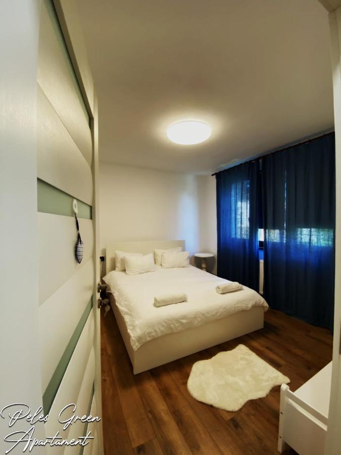 Peles Green Apartment & Piano Cluj-Napoca Eksteriør billede