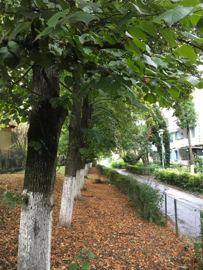 Peles Green Apartment & Piano Cluj-Napoca Eksteriør billede